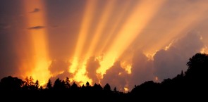 sunshine-cropped